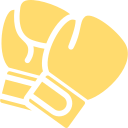 Kickboxing icon